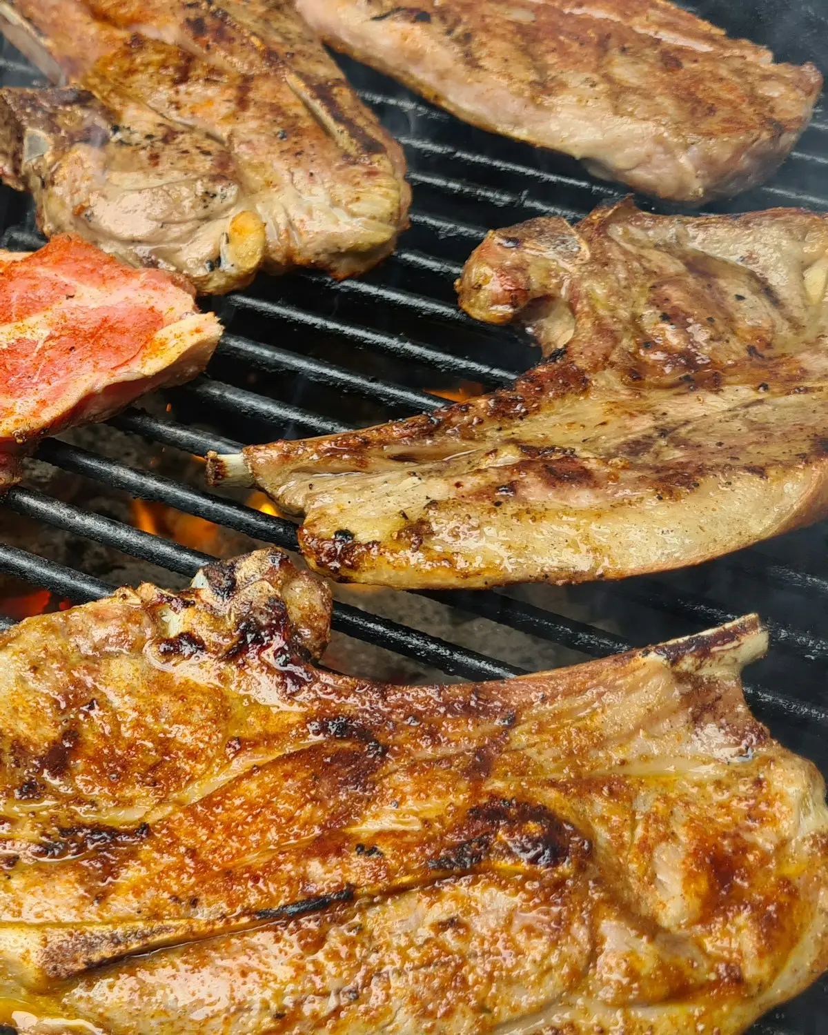 Chops and marinated cuts over the coals on a braai grid